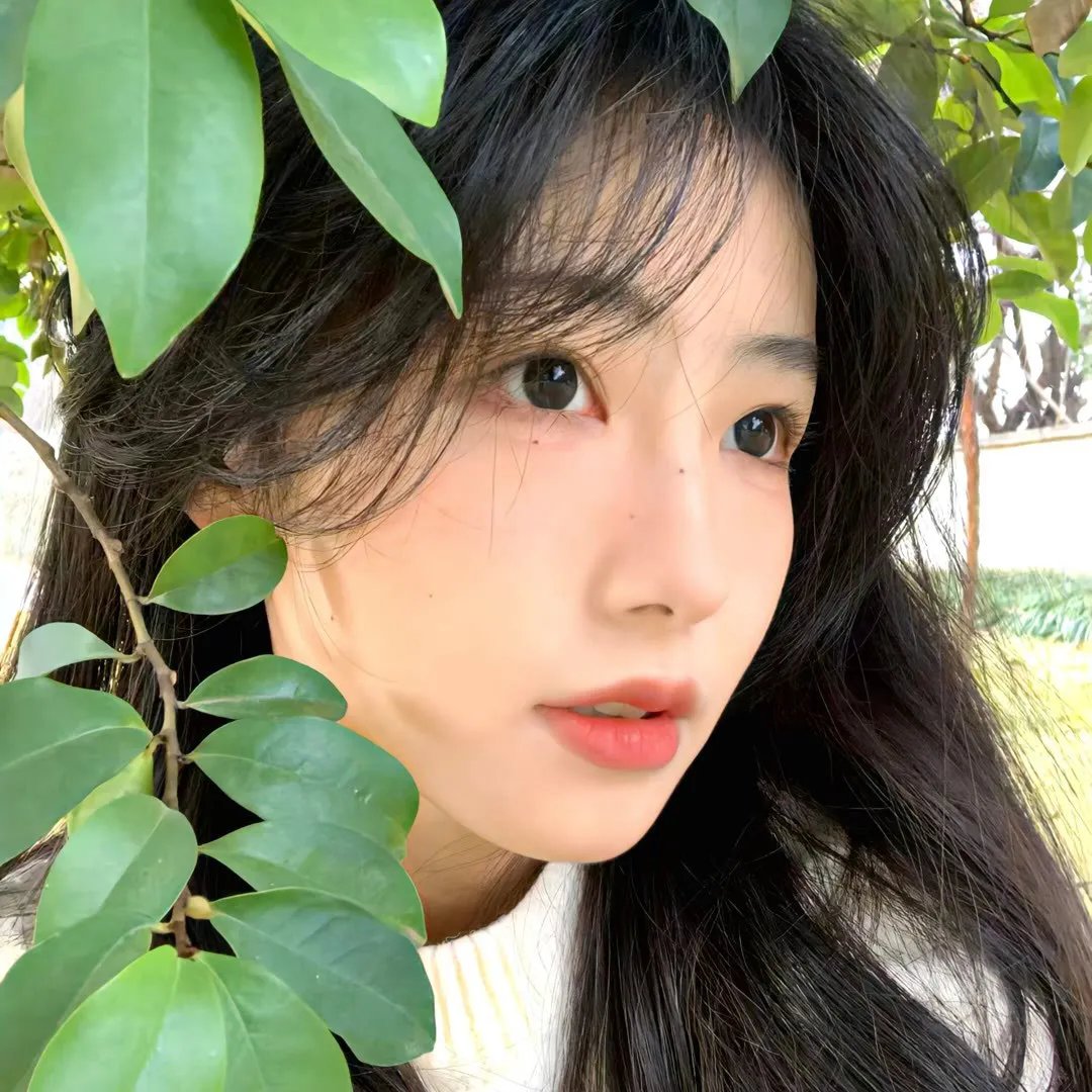 地球之盐